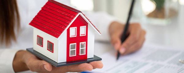 immobilier neuf